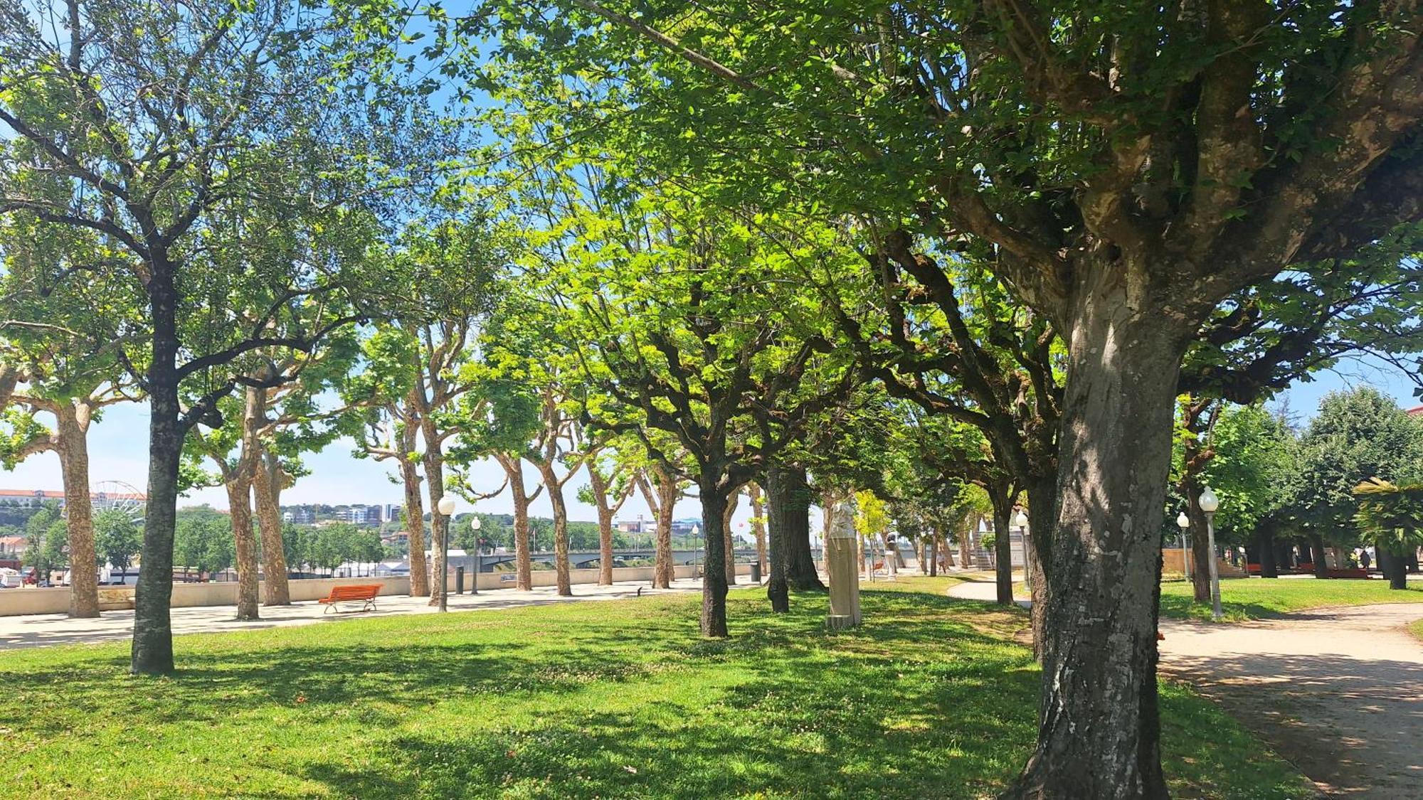 Vinum Apartamentos 1890 Κοΐμπρα Εξωτερικό φωτογραφία